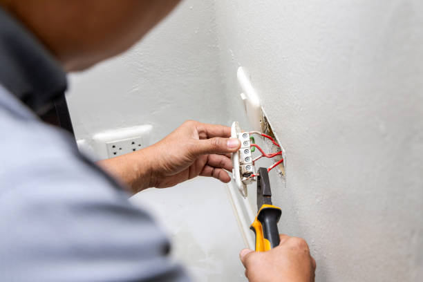 Best Electrical Troubleshooting Services  in Wilton Manors, FL